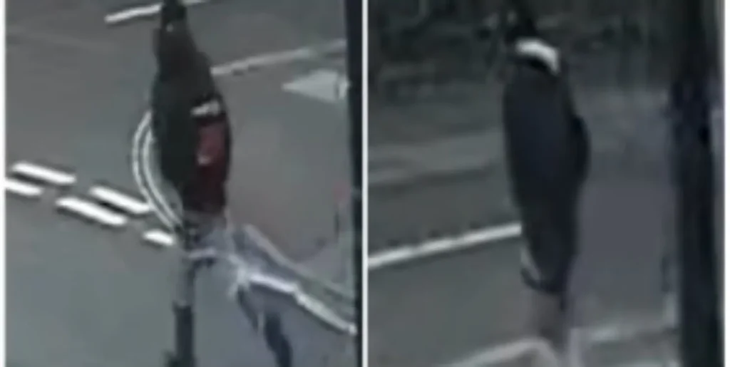 Man Seriously Assaulted In Bristol: Cctv Images Released In Ongoing Investigation