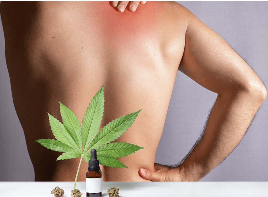 Does Cbd Help With Arthritis Pain?