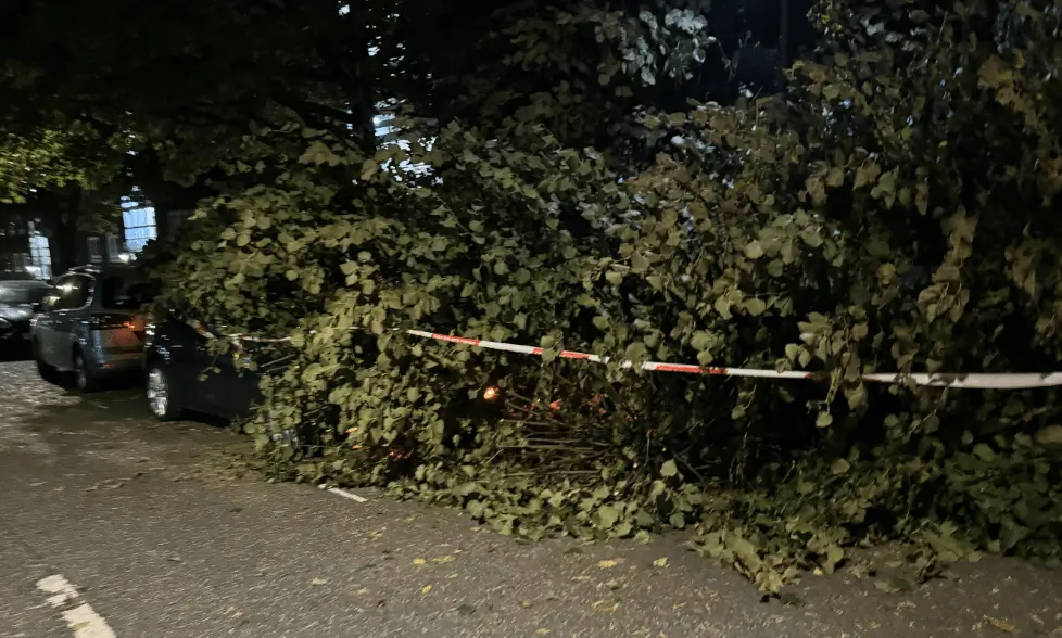 Storm Babet Fury: West London Driver Miraculously Escapes as Tree Crushes Car