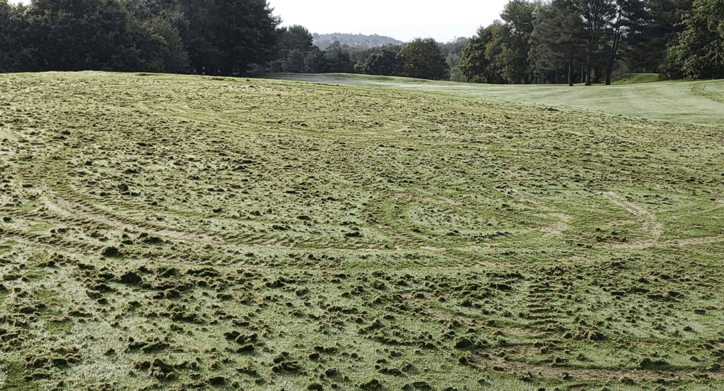 Appeal For Information On Golf Club Criminal Damage In Stoke-on-trent