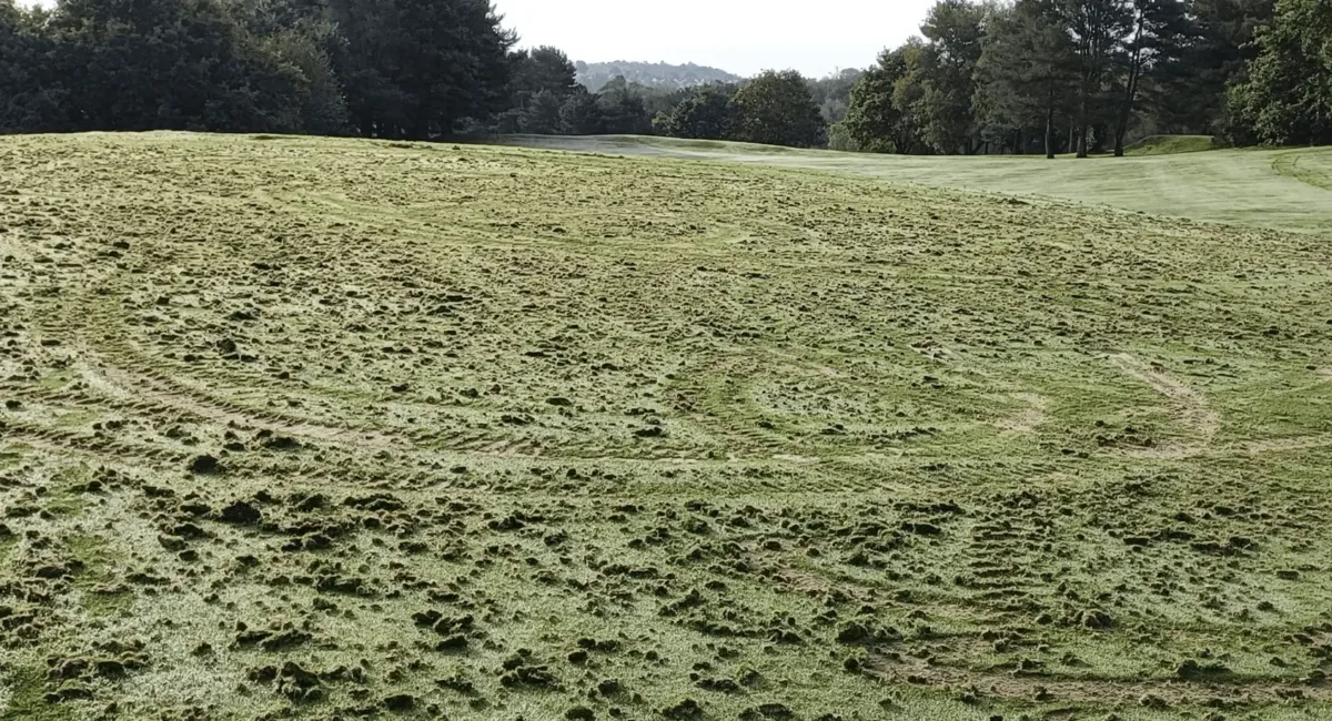 Quad Bike Vandals Rip Up Stoke-on-Trent Golf Green – Police Urge Witnesses to Come Forward