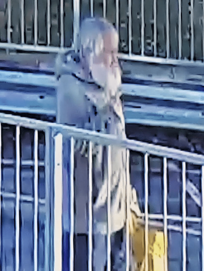 Officers Are Seeking Help To Locate A Pensioner Missing From Medway