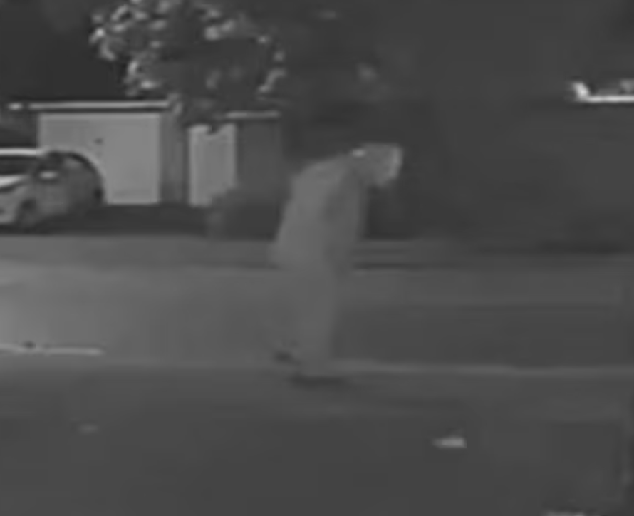 Police Are Appealing For The Public’s Help To Find A Missing Man From Crayford