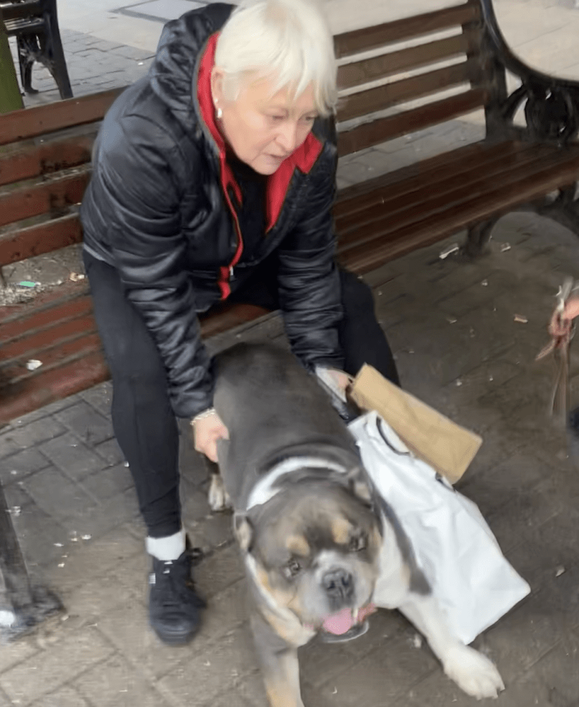 Police Seek Public’s Help In Identifying Woman Involved In Dog Attack In Harrogate