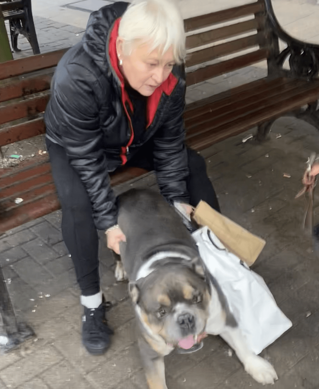 Police Seek Public’s Help In Identifying Woman Involved In Dog Attack In Harrogate