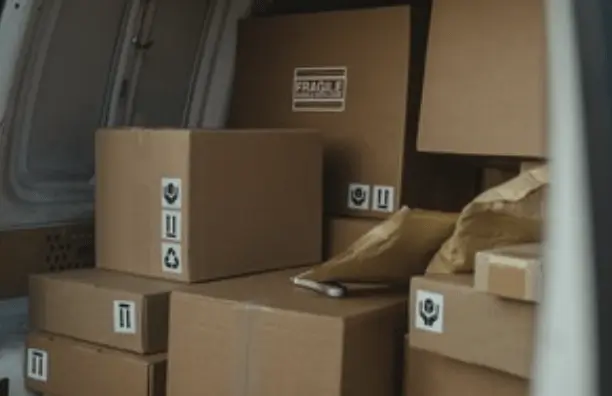 Package Containing Non-uk Veterinary Medicines Seized In Belfast