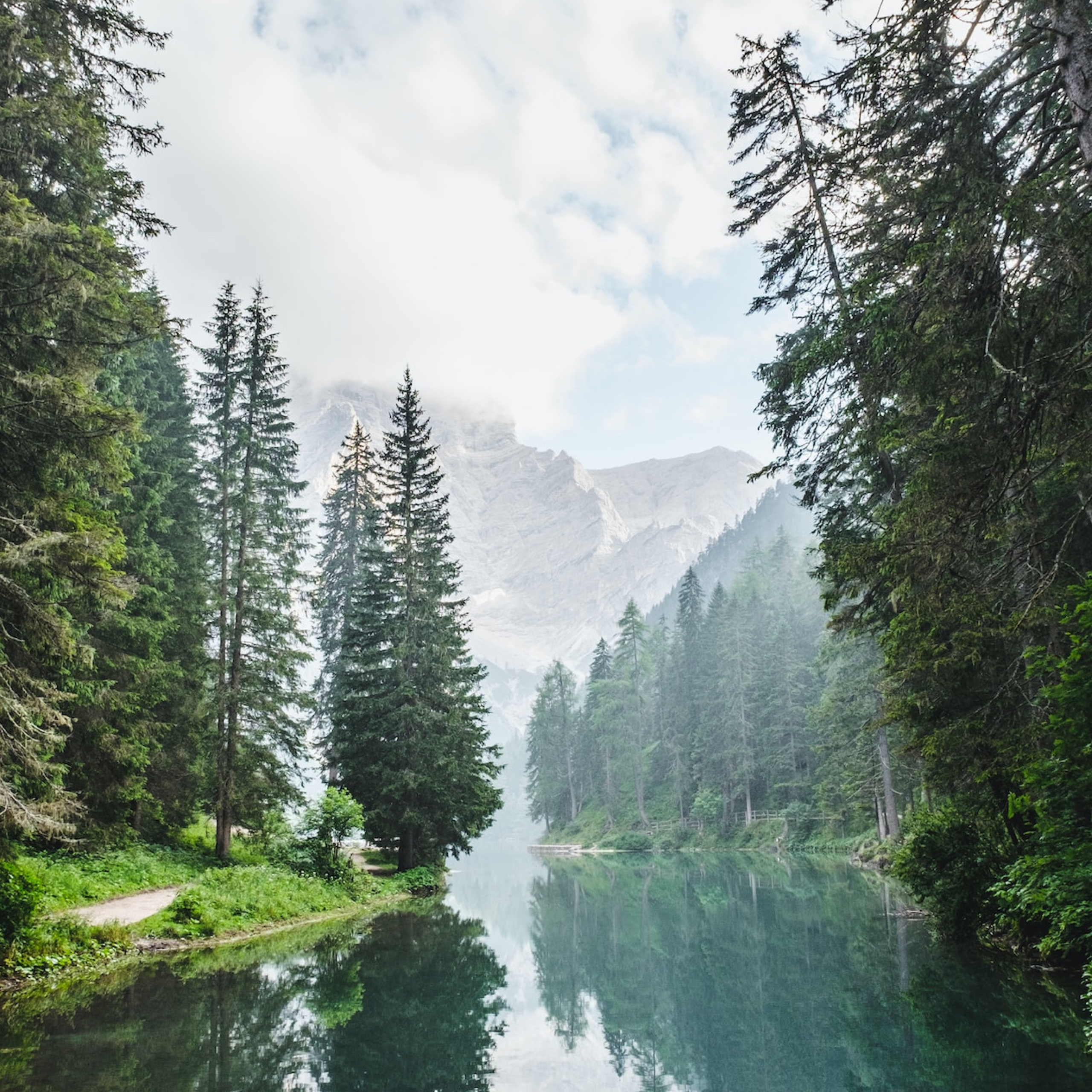 Tragic Toll On Amazon River Dolphins: 120 Found Dead Amidst Drought And Heat