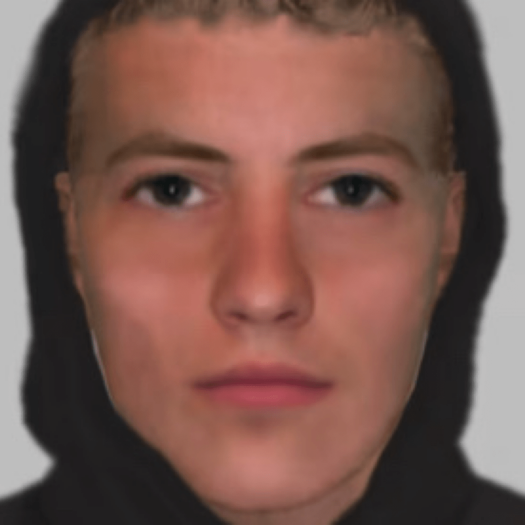 Detectives Release E-fit Of Teenager In Hither Green Assault Investigation