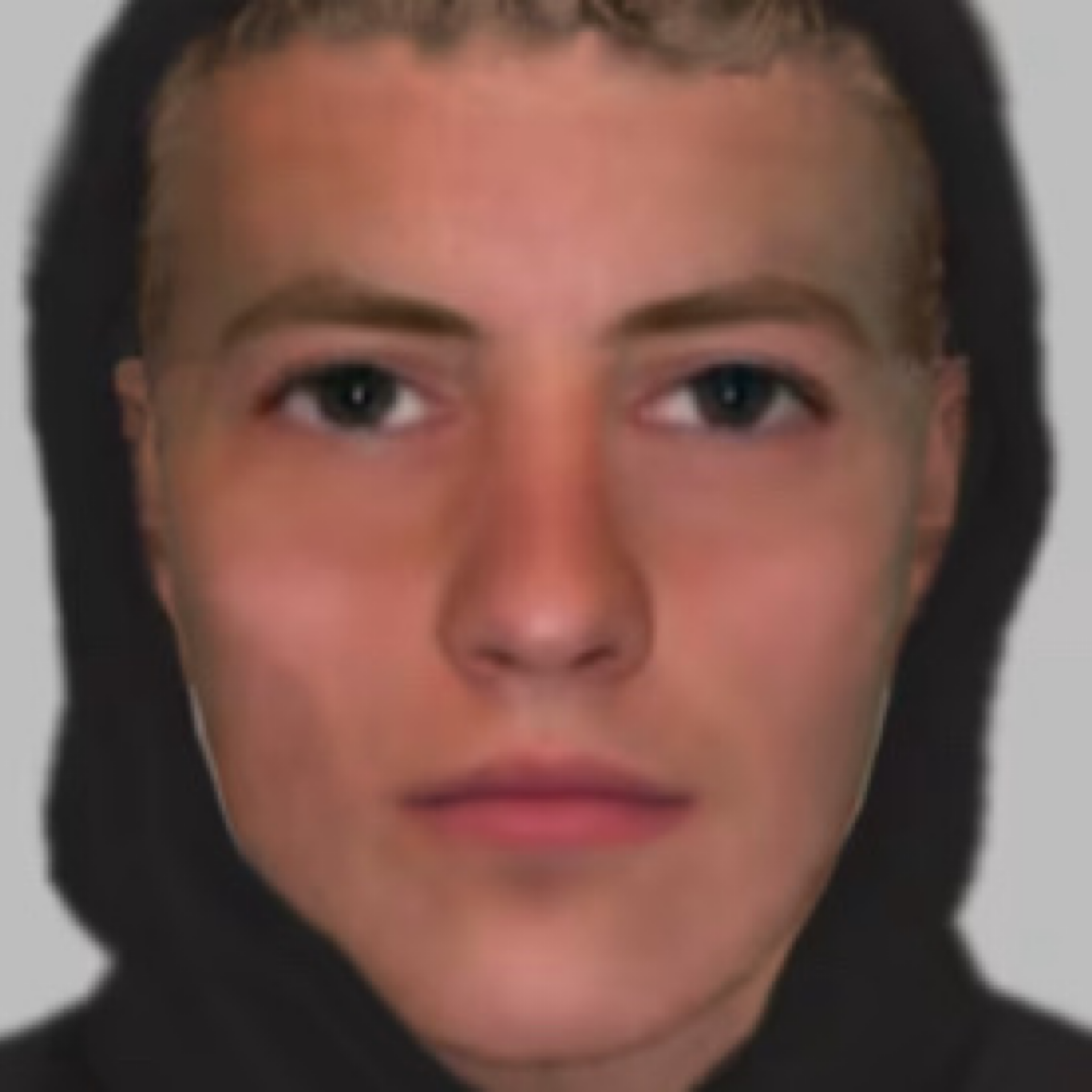 Detectives Release E-fit Of Teenager In Hither Green Assault Investigation