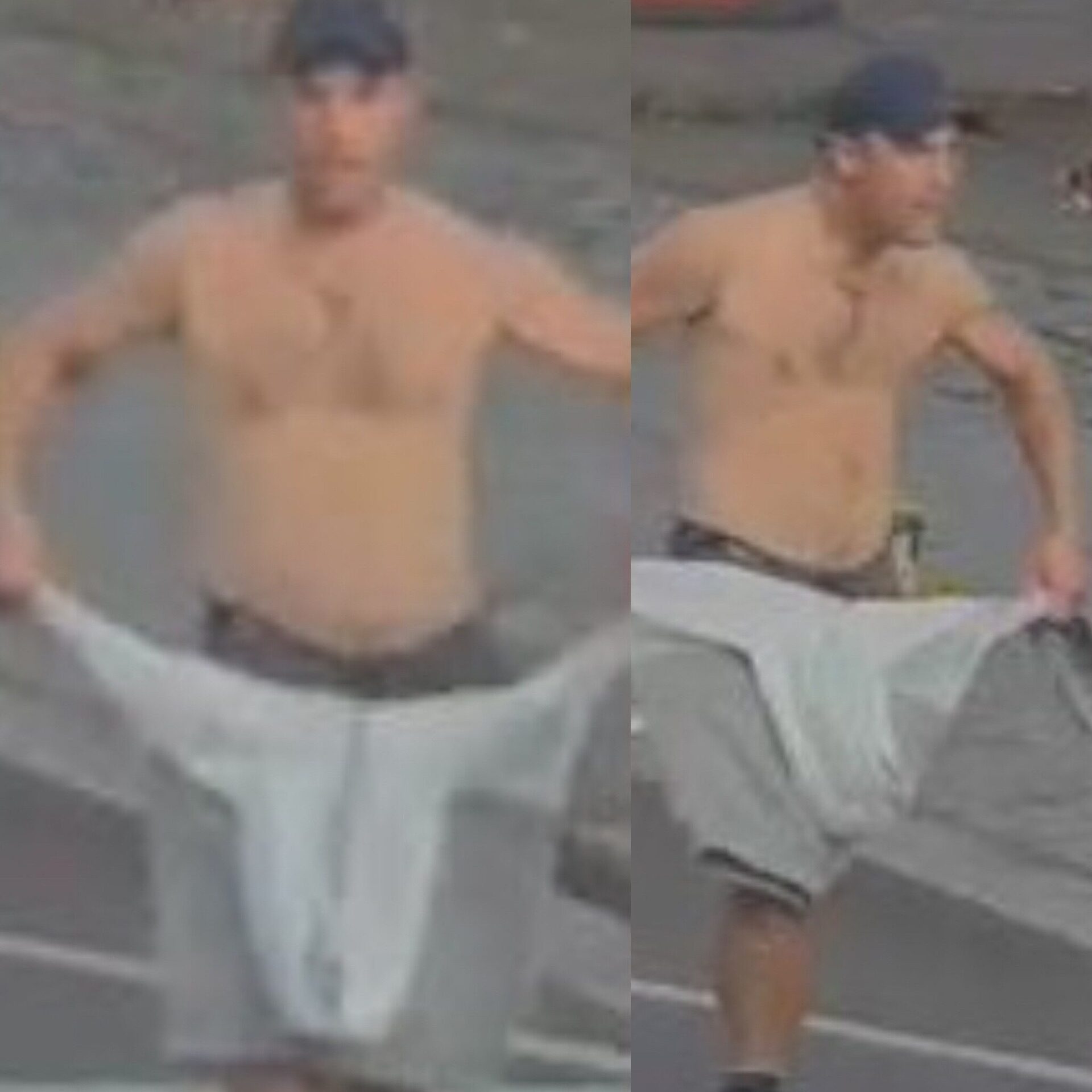 Police Seek Publics Help After Cheltenham