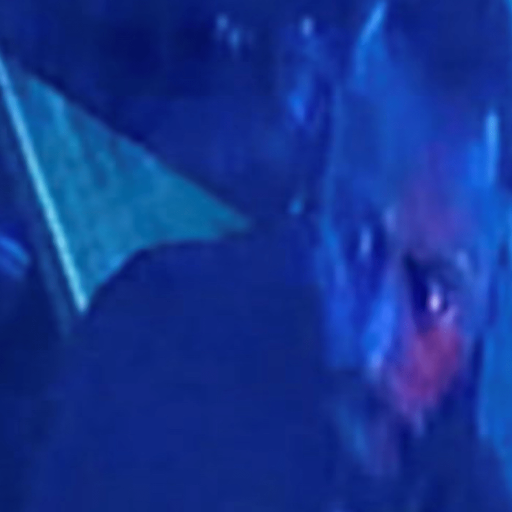 Manhunt Underway After Stabbing At Newham Restaurant