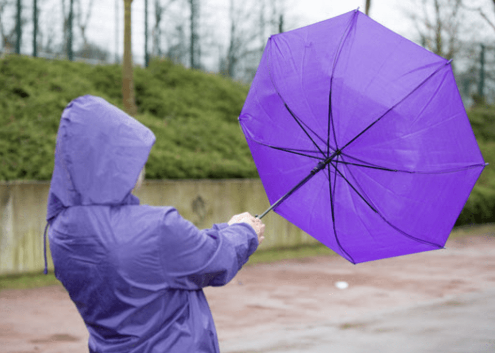 Storm Ciaran: What You Need To Know And How To Be Prepared