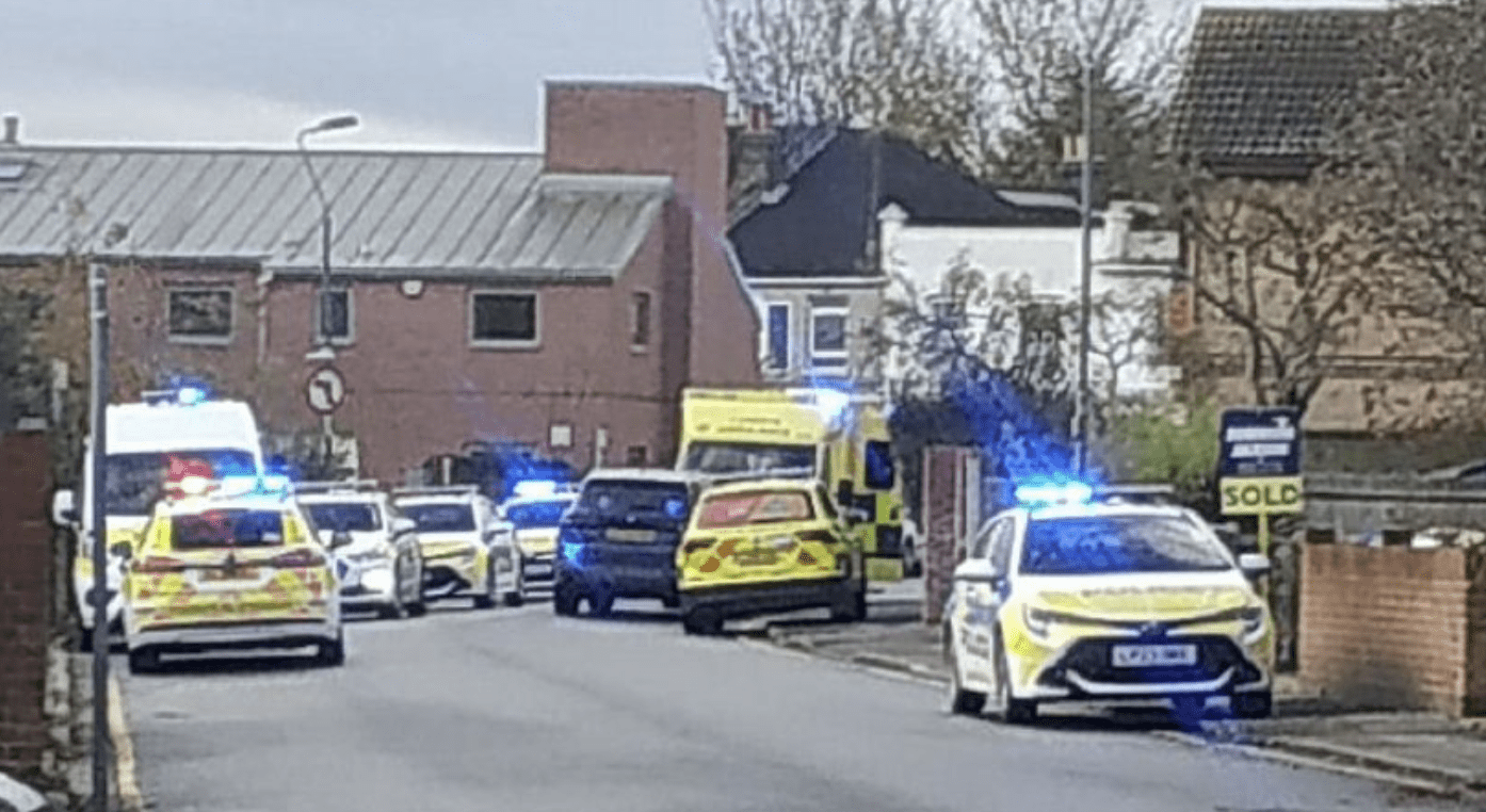 Alapaha Bulldog Involved In Critical Dog Attack In Belvedere