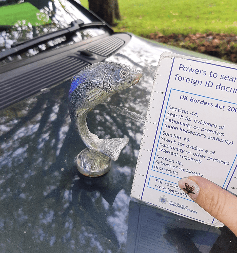 Oversized Fish Mascot On Skoda In Wiltshire Leads To Fine Amid London Clashes