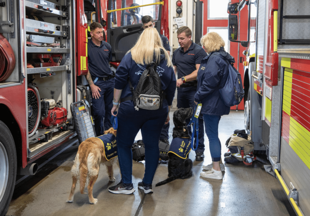 Maidstone Fire Station Hosts Guide Dogs For Unique Training Experience