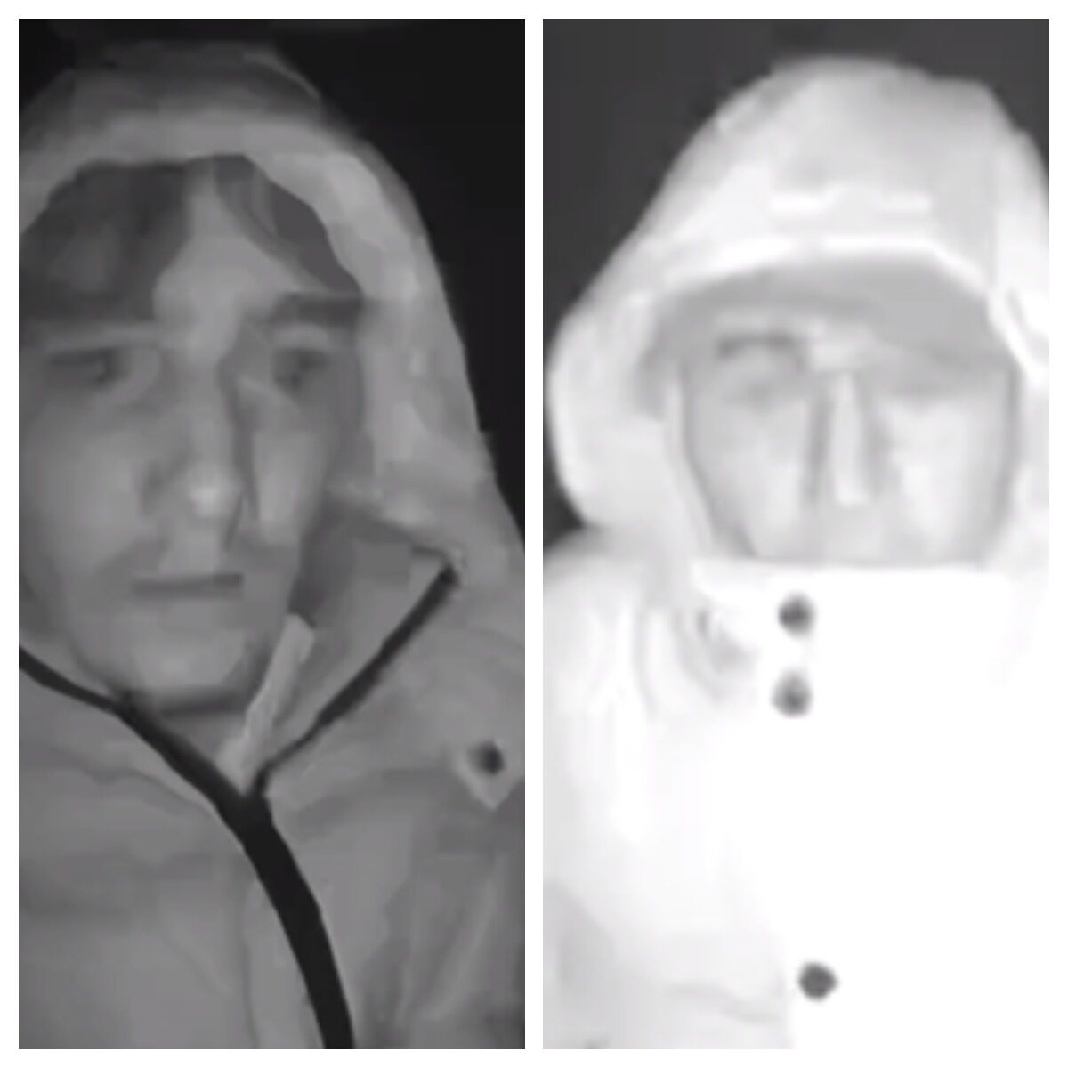 Officers Have Released Cctv Images Following An Attempted Break-in At A Property In Tonbridge