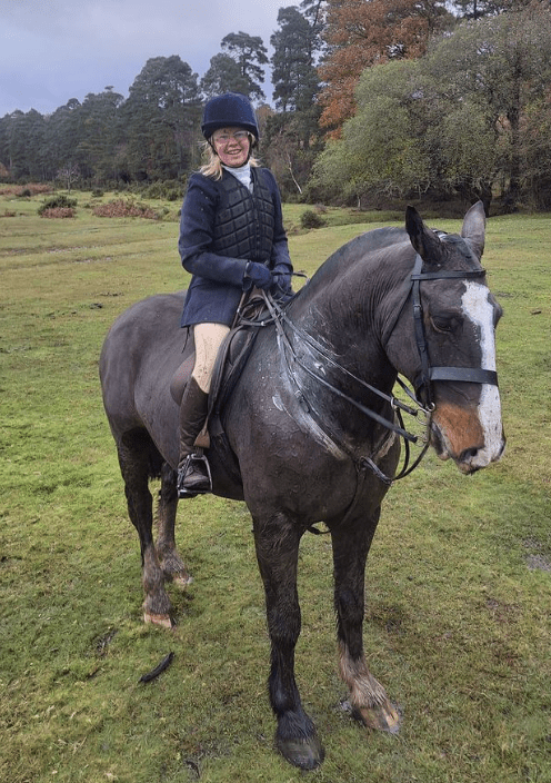 Urgent Search For Missing Horse In New Forest