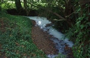 Somerset Cheesemaker Fined £20,000 For Third Pollution Offence