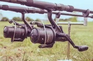 Fishing Fines Hit Fleetwood and Preston Anglers Caught Breaking Close Season Byelaws