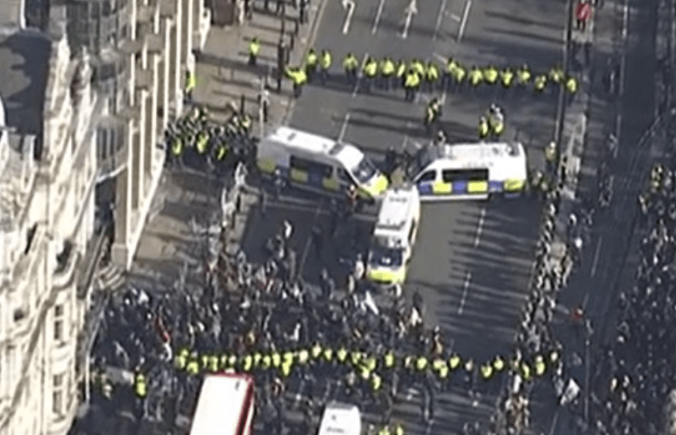 Met Police Responds To Clashes During Pro-palestinian March In London On Remembrance Day