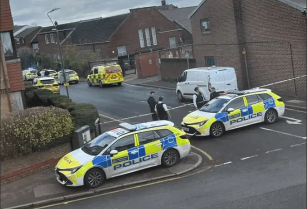 Woman Fighting for Life After Belvedere Dog Attack as Police Kill Dog in Dramatic Rescue