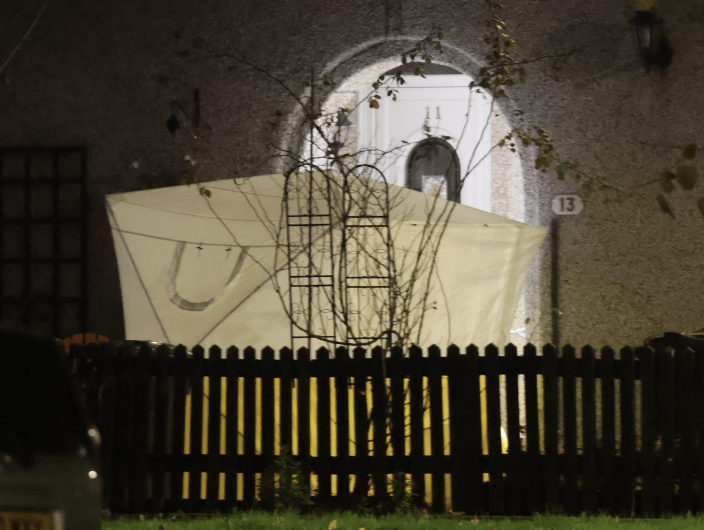 Fatal Police Shooting In Dagenham After Man Points Firearm At Armed Police