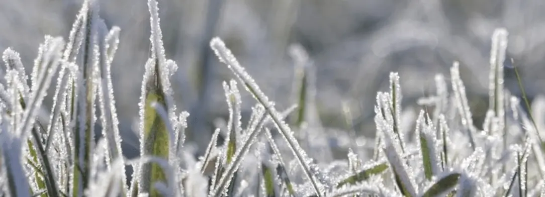 Freezing UK Faces Snow and Ice Threat as Temperatures Plunge Below Freezing