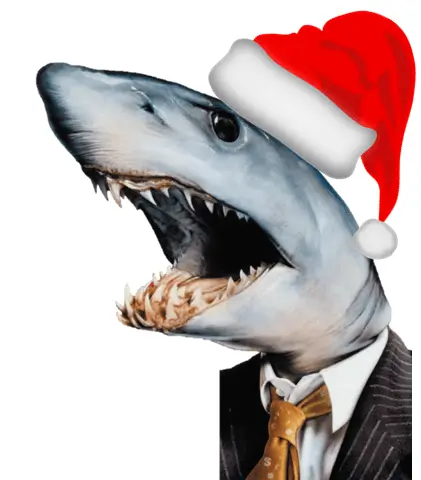 Police Warn: Avoid Loan Sharks This Christmas or Risk Debt, Threats and Violence