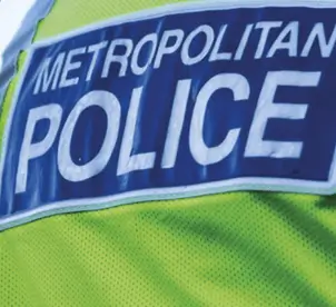 PC Claudia Pastina Fired from Met After Beating Suspect in Stockwell Incident
