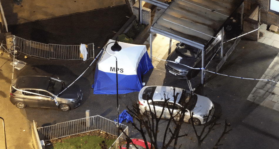 A murder investigation is underway after a woman died in a shooting in Hackney