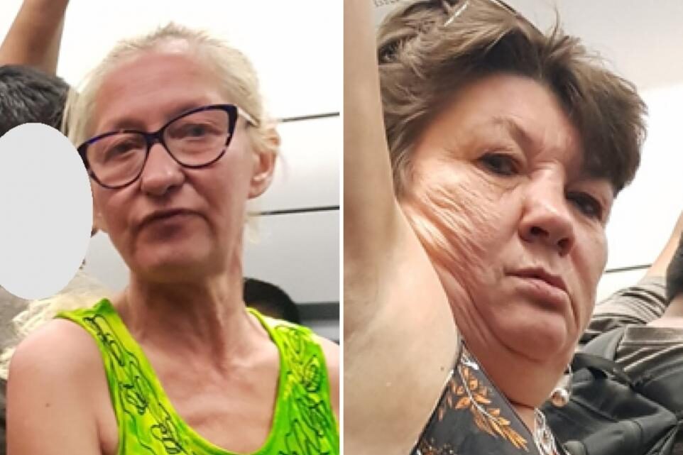 Appeal Launched After Disabled Women Assaulted on Train from Ramsgate to St Pancras