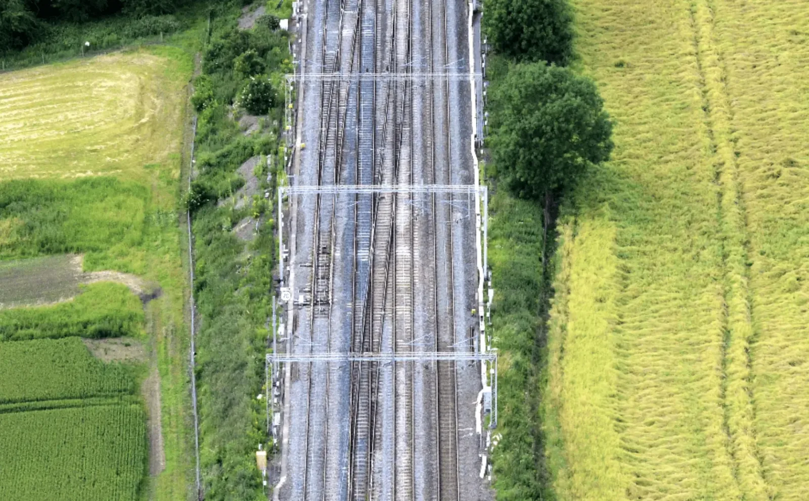 West Coast Main Line Rail Upgrades to Disrupt Christmas and New Year Travel – Delays and Bus Replacements Expected