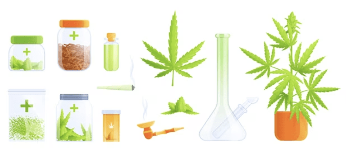 Distribution Dynamics: Navigating the Wholesale Landscape for Supplements