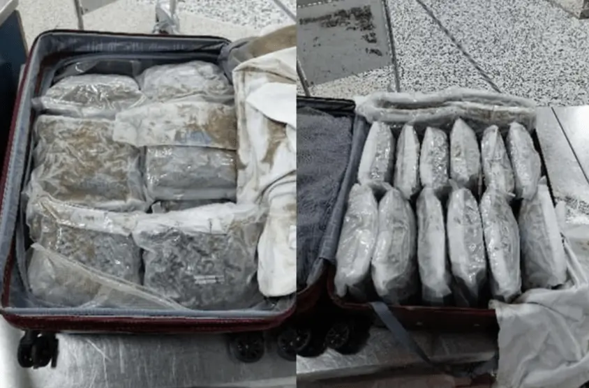 £750k Drug Haul: Nine Arrested at Birmingham Airport in Major Cannabis Bust
