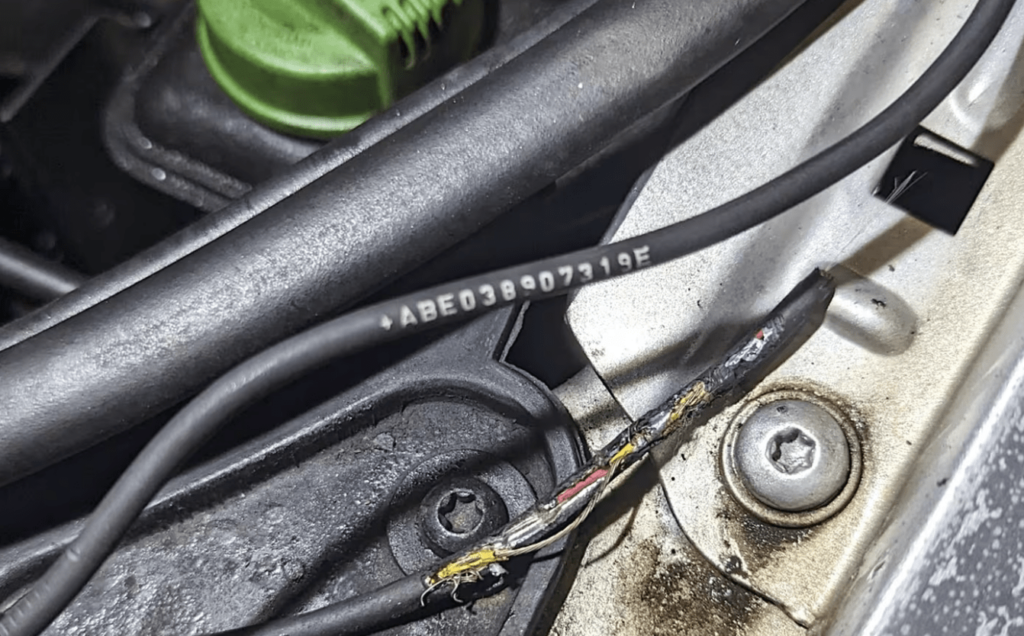 RAC Declares 2023 the ‘Unofficial Year of the Rat’ as Record Number of Rodents Wreak Havoc on Cars