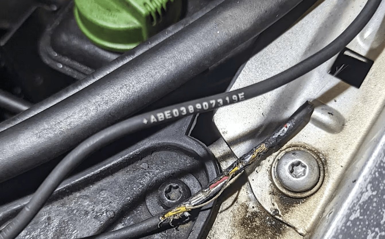 RAC Declares 2023 the ‘Unofficial Year of the Rat’ as Record Number of Rodents Wreak Havoc on Cars