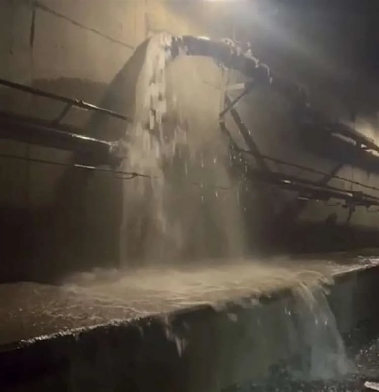 Eurostar New Year’s Eve Nightmare: All London Trains Cancelled as Channel Tunnel Floods Slam Travel