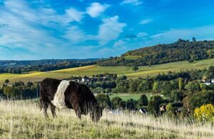 Rural Payments Agency Releases £525 Million to Support UK Farmers