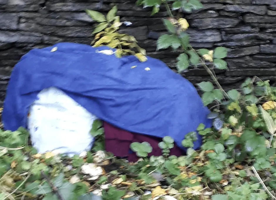 First Picture of Daniel Mihai who police advise not to approach after Woman who is 37 Weeks Pregnant is stabbed taking her children to school