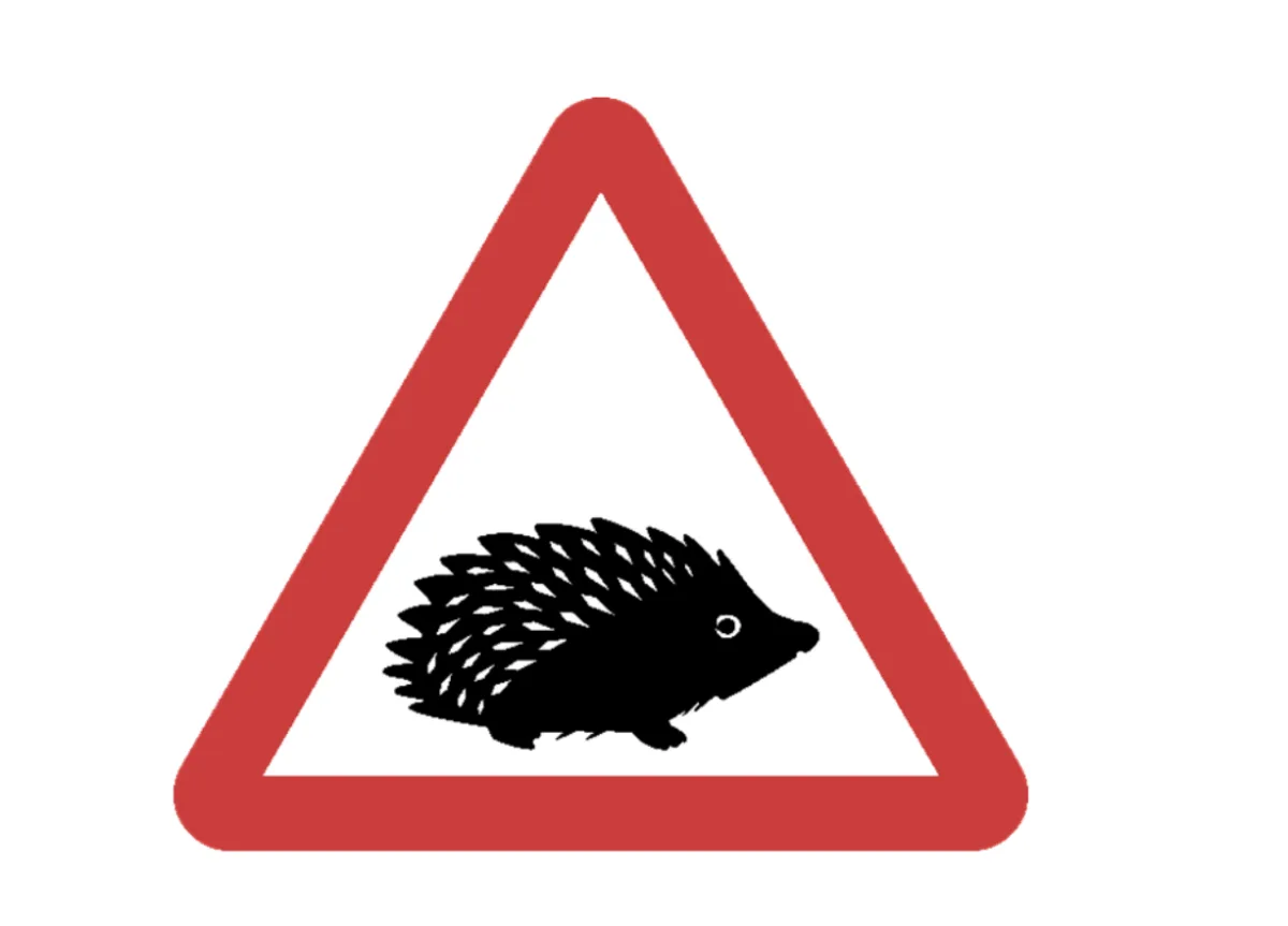 Hedgehogs Get Safer: New Bright Road Signs and Faster Installation to Slash Wildlife Road Deaths