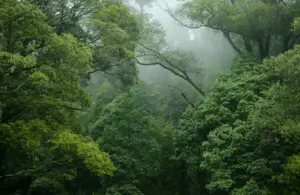 UK Supermarkets to Ban Products Linked to Illegal Deforestation in Landmark Legislation