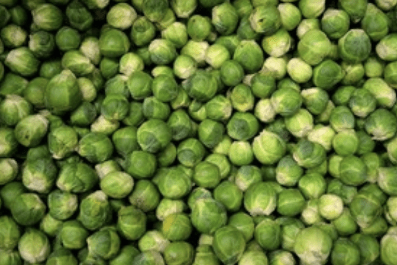 Tribute to UK Farmers and Food Producers for Christmas Feasts