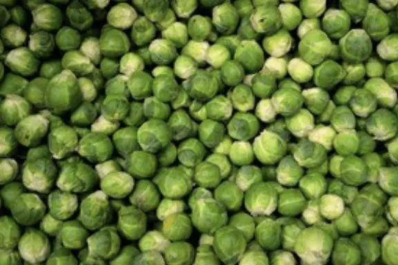 Tribute to UK Farmers and Food Producers for Christmas Feasts