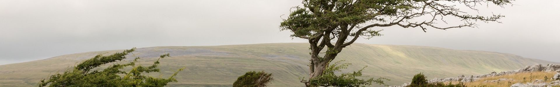 UK Braces for Wet and Windy Weather as Christmas Approaches