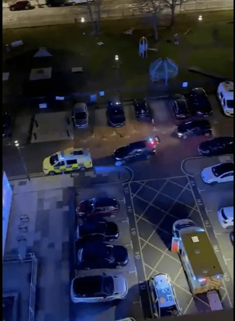 Teen Tragedy: 14-Year-Old Girl Dies After Falling from Isle of Dogs Tower Block