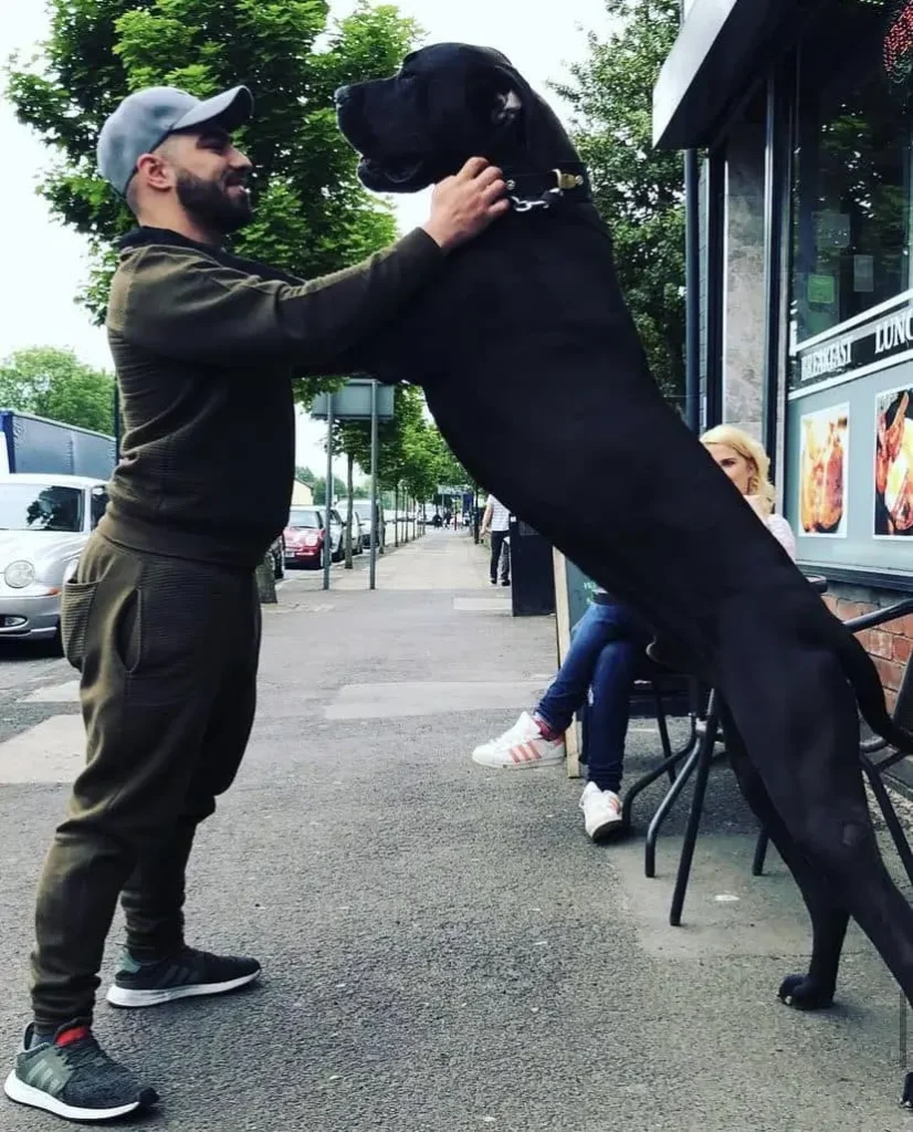 Man Killed in Road Rage Altercation Remembered as a Vibrant and Caring Individual