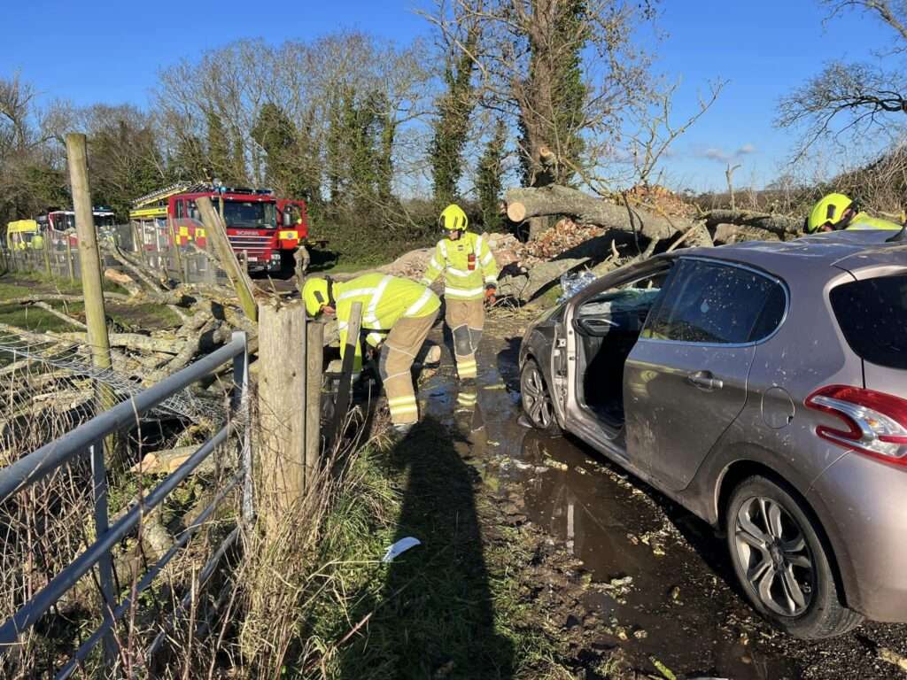Swift Response by WSFRS Chichester Red Watch: Tree Collapse Incident