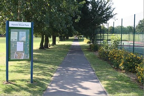 Body Found Near School in Romford Sparks Investigation