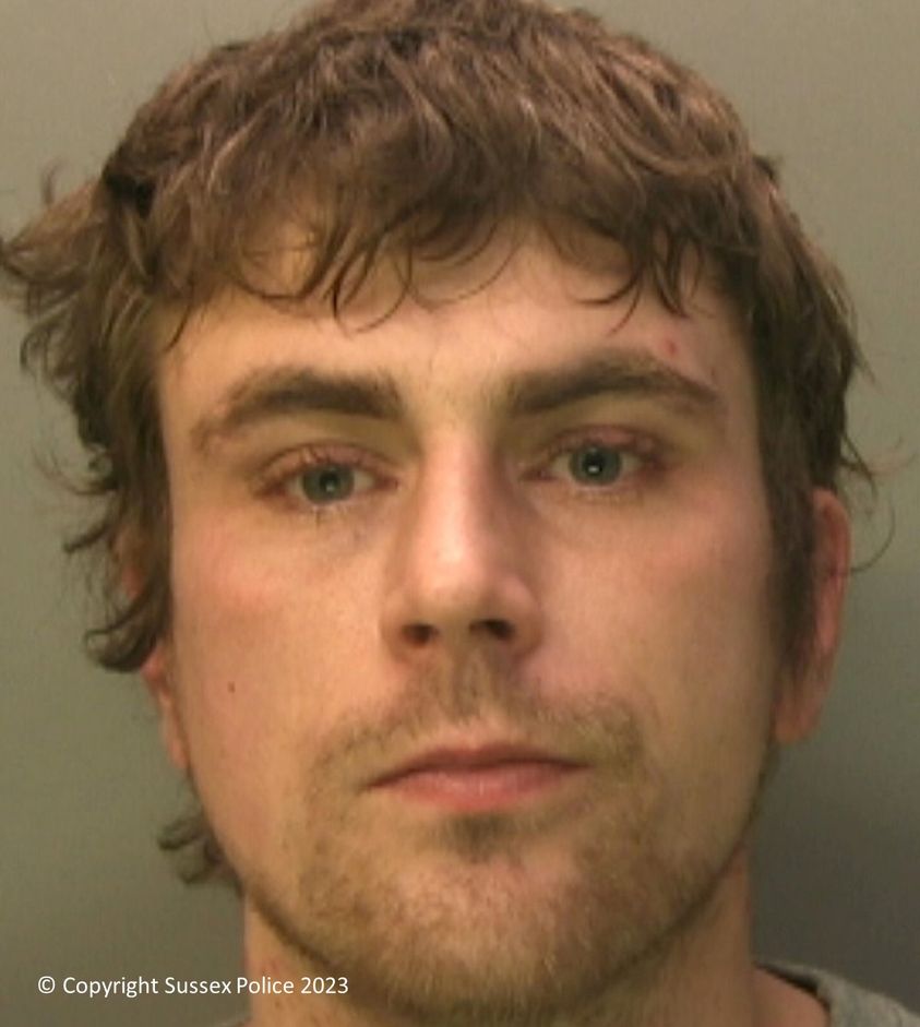 A wanted man was arrested in Arundel after an extensive search operation involving multiple emergency services