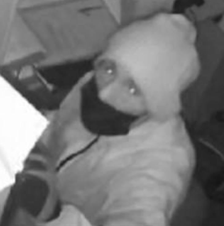 Appeal for information following burglary in Dorchester